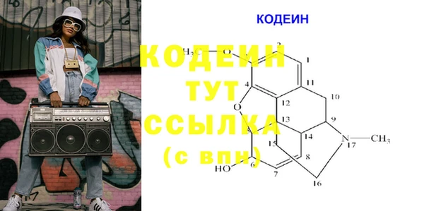 apvp Кукмор