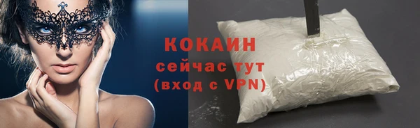apvp Кукмор