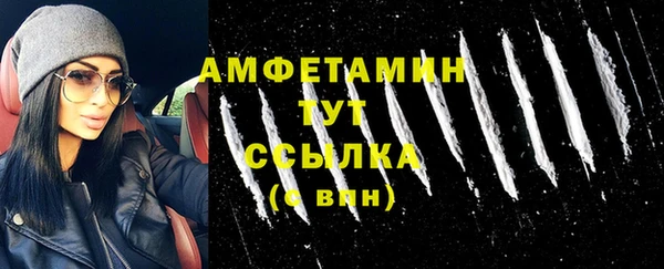 шишки Лагань