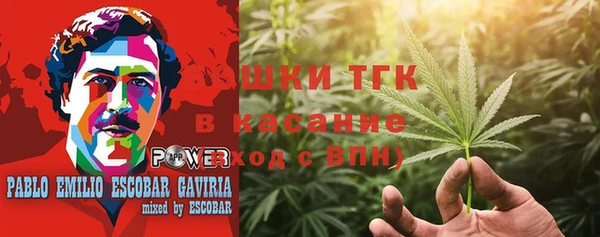 шишки Лагань