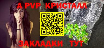 спиды Донской