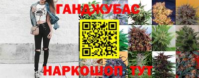 спиды Донской