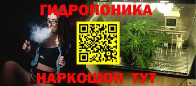 спиды Донской