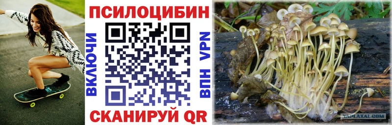 Галлюциногенные грибы мицелий  МЕГА   Новоалександровск 