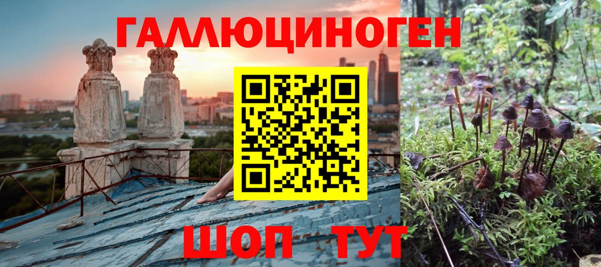 Псилоцибиновые грибы GOLDEN TEACHER  Новоалександровск 
