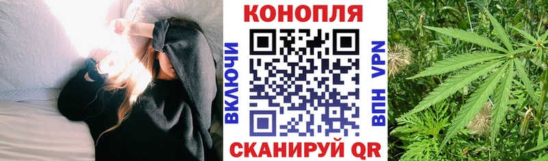 Канабис VHQ  где найти   Новоалександровск 